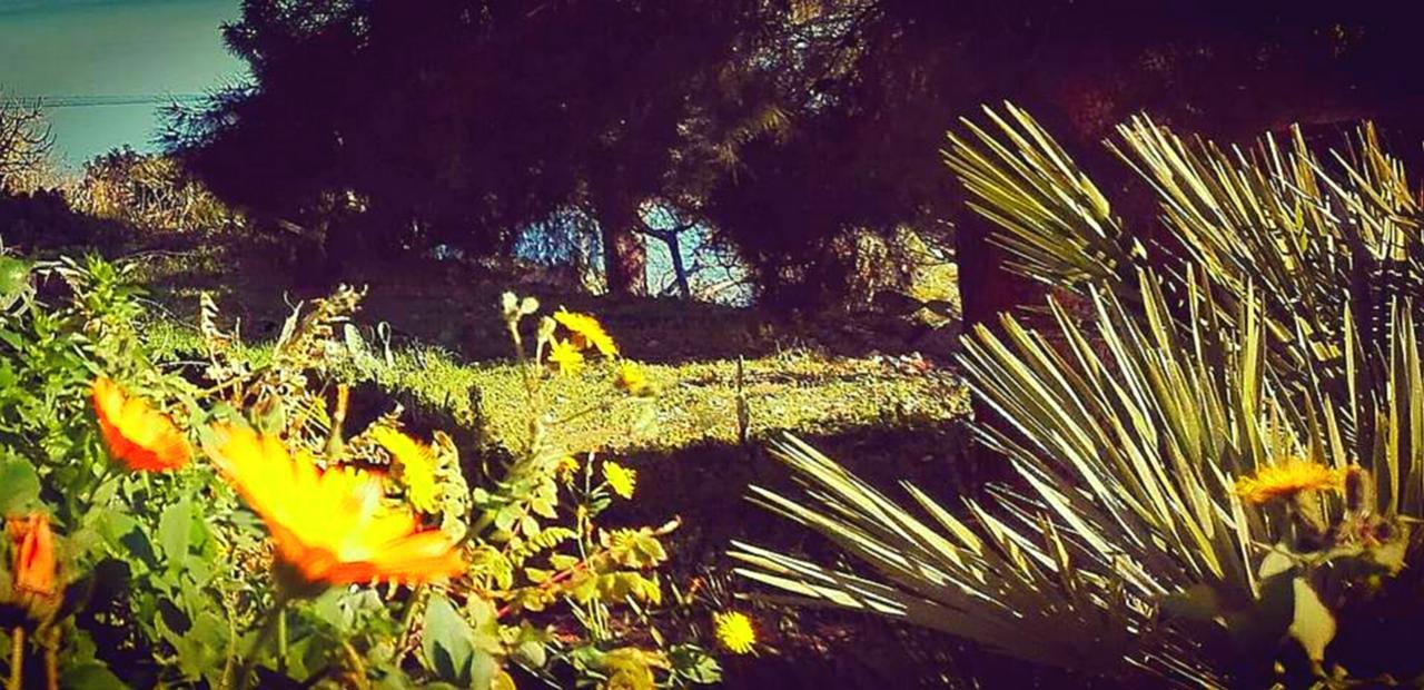Villa Costa Sauci سان فيتو لو كابو المظهر الخارجي الصورة